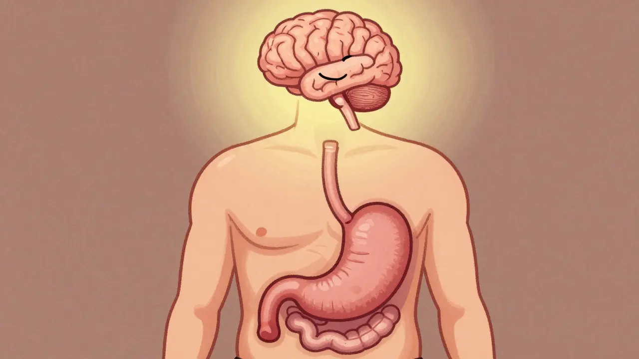 Illustration showing brain and stomach working together for satiety